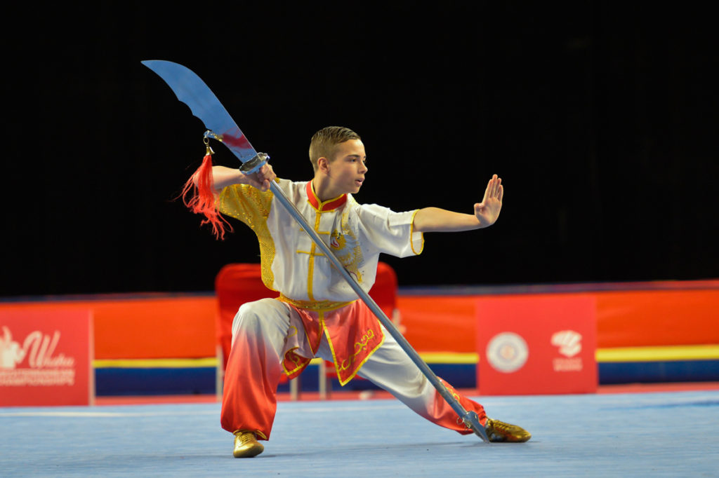 wushu techniques forms